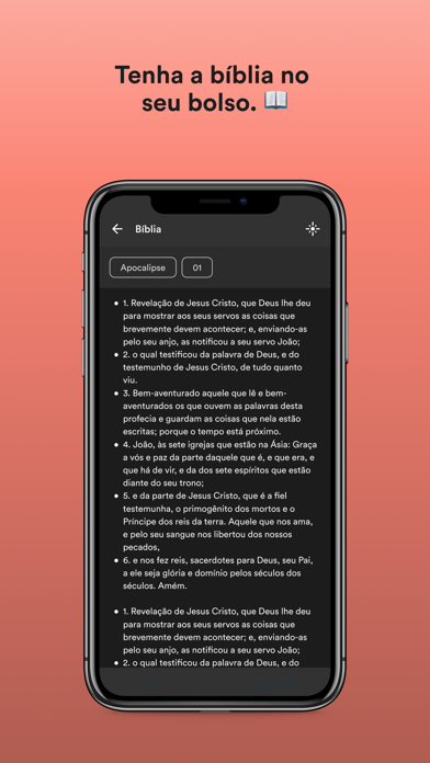 Screenshot #3 pour Igreja Pibac