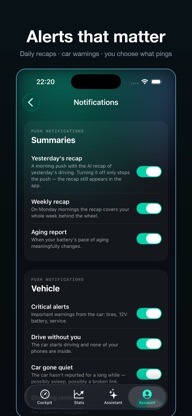 Wristla: Tesla AI Assistant screenshot 5