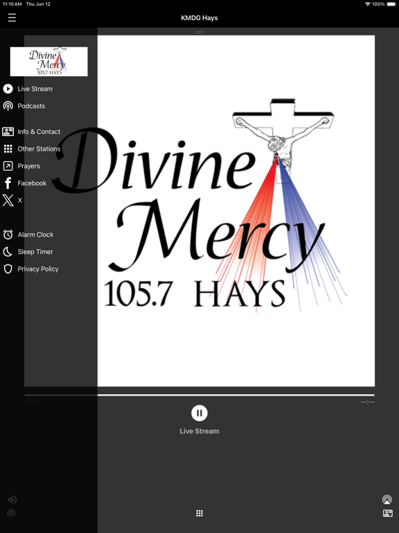 Screenshot #6 pour Divine Mercy Radio.