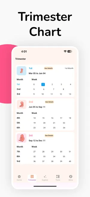 Pregnancy Tracker Week by Week screenshot 2