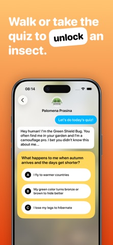 Bugsy – Insect Collection Quiz screenshot