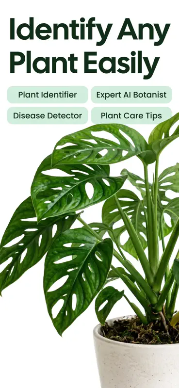 Plant App: Plant Identifier screenshot 1 of 10