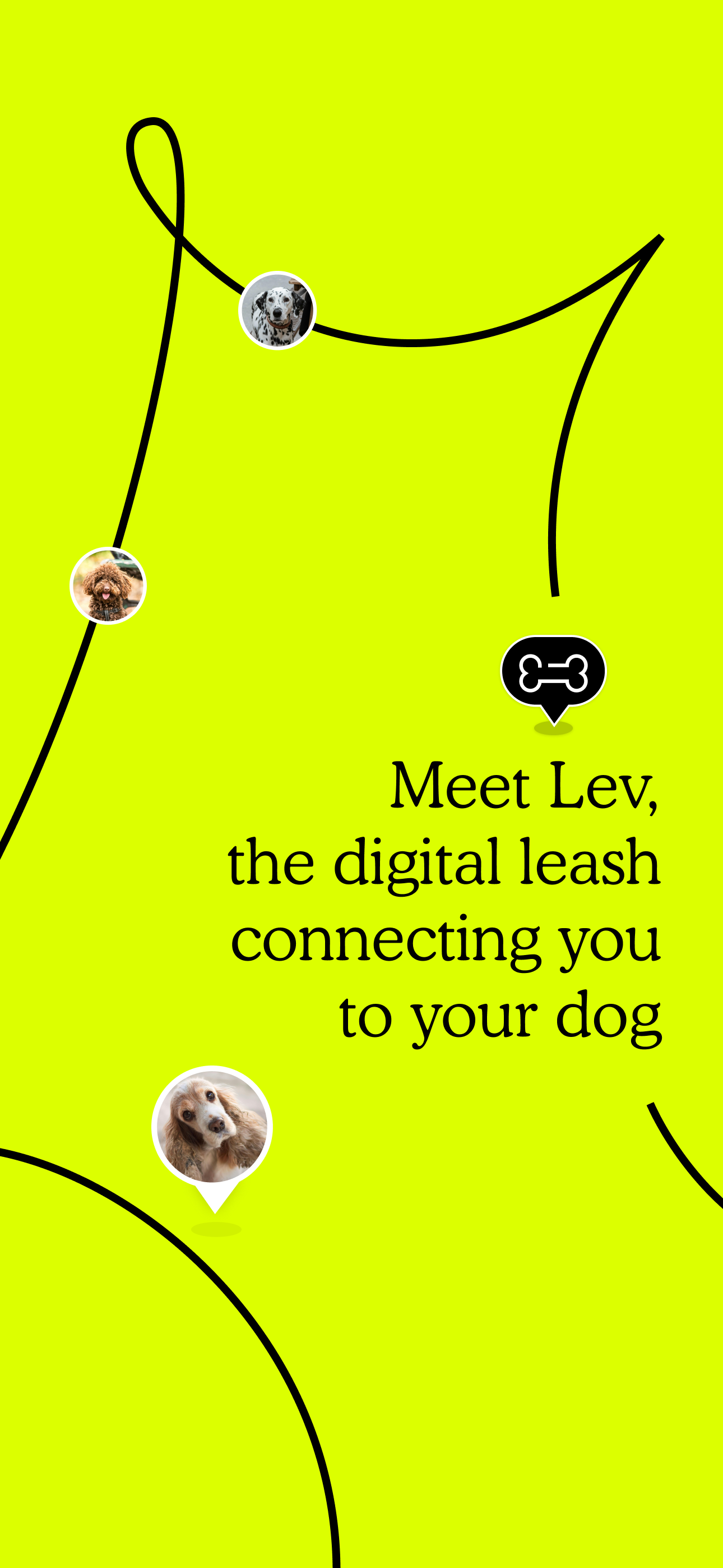 Lev: Meet Dogs & Explore