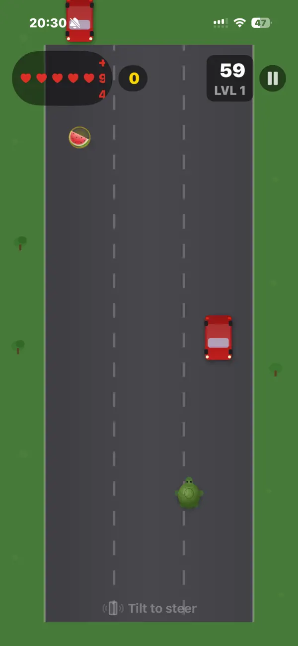 Turtledasher Screenshot 2