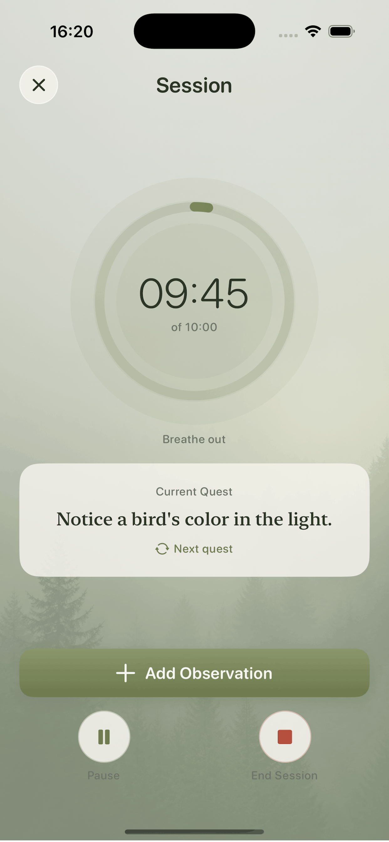 Bird Sit Spot screenshot 8