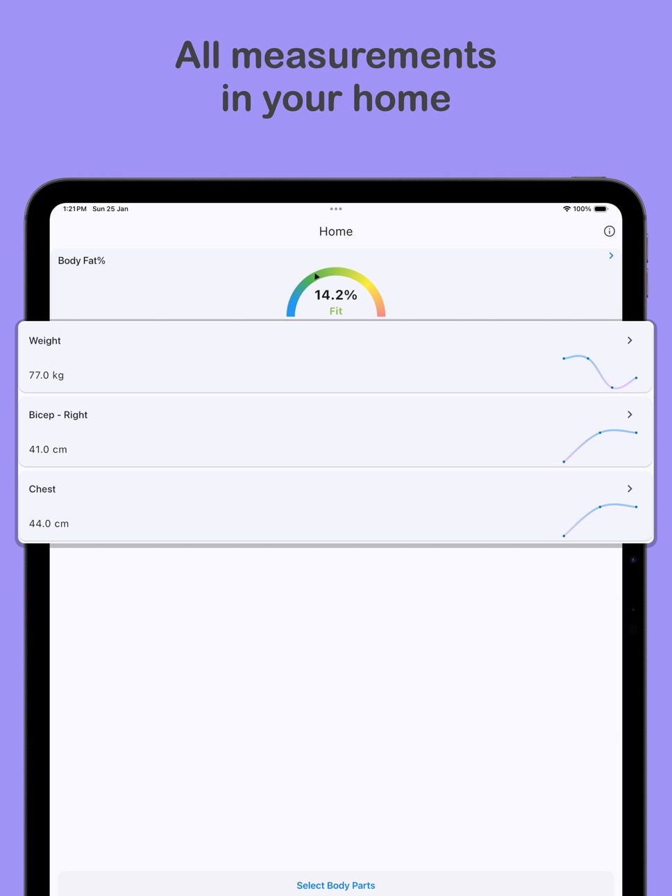 iPad screenshot