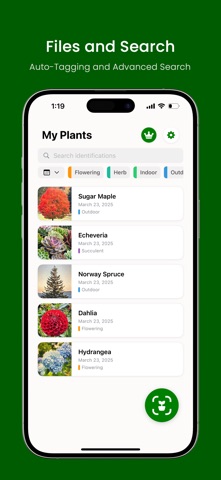 Plant Identifier: Plant ID screenshot