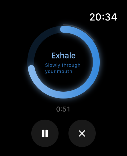 BreathLead screenshot 21