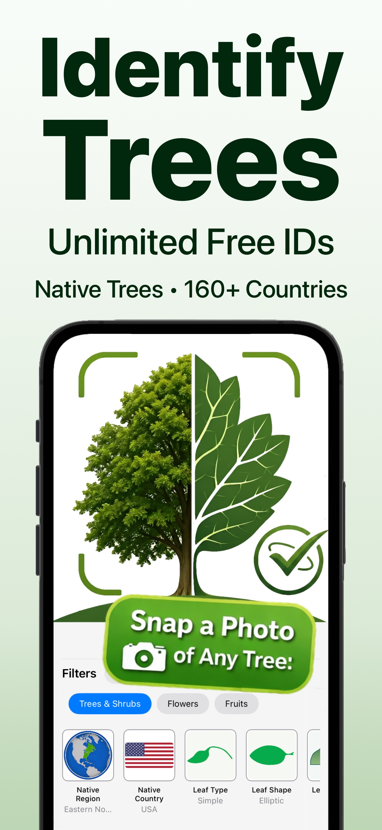 Forest Tree Identification