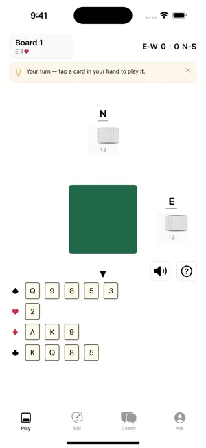 Bridge Coach - Brigid screenshot 2