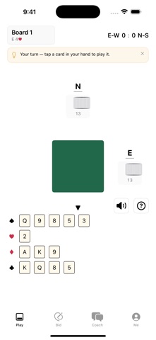 Bridge Coach - Brigid Screenshot 2 of 4