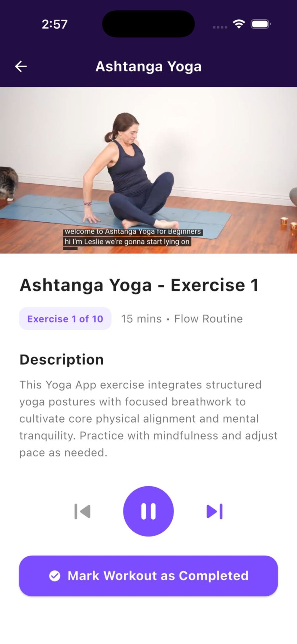 Daily Yoga for Men & Women screenshot 3