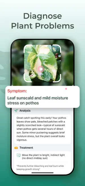 Plant Care Guide: PlantScope screenshot 3