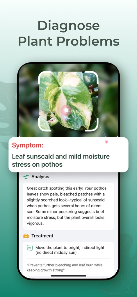 Plant Identifier: PlantScope - Observe the app's capability to "Diagnose Plant Problems" by presenting specific symptoms like "Leaf sunscald" and offering comprehensive "Analysis" and "Treatment" plans.