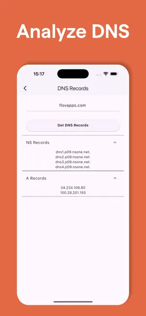 NetWizard: Scan & Analyze screenshot 4