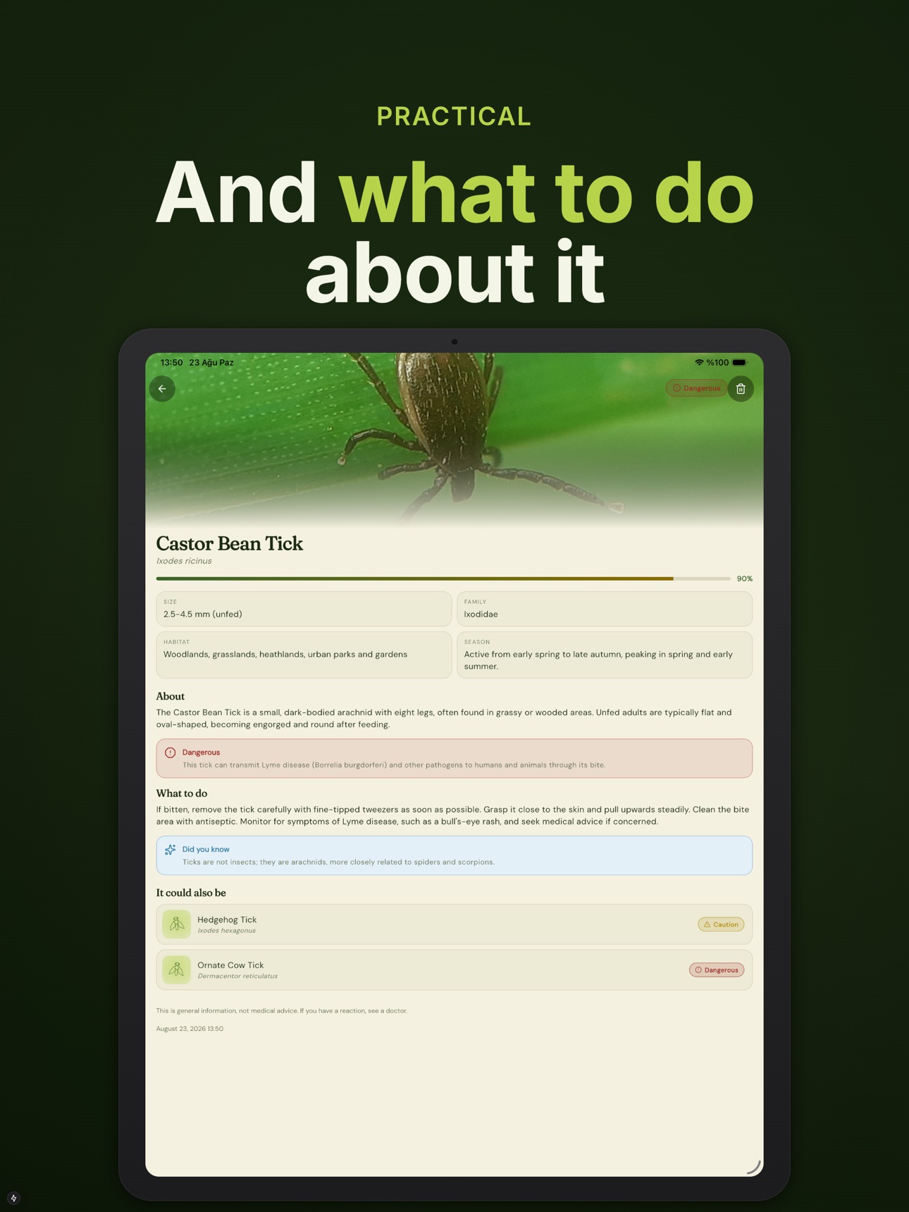 Screenshot 11 of Insect Identifier: Cicara
