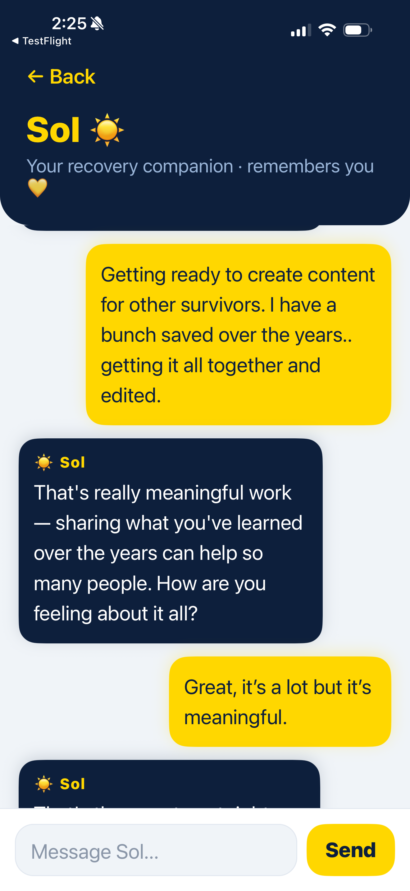 Second Sun screenshot 2