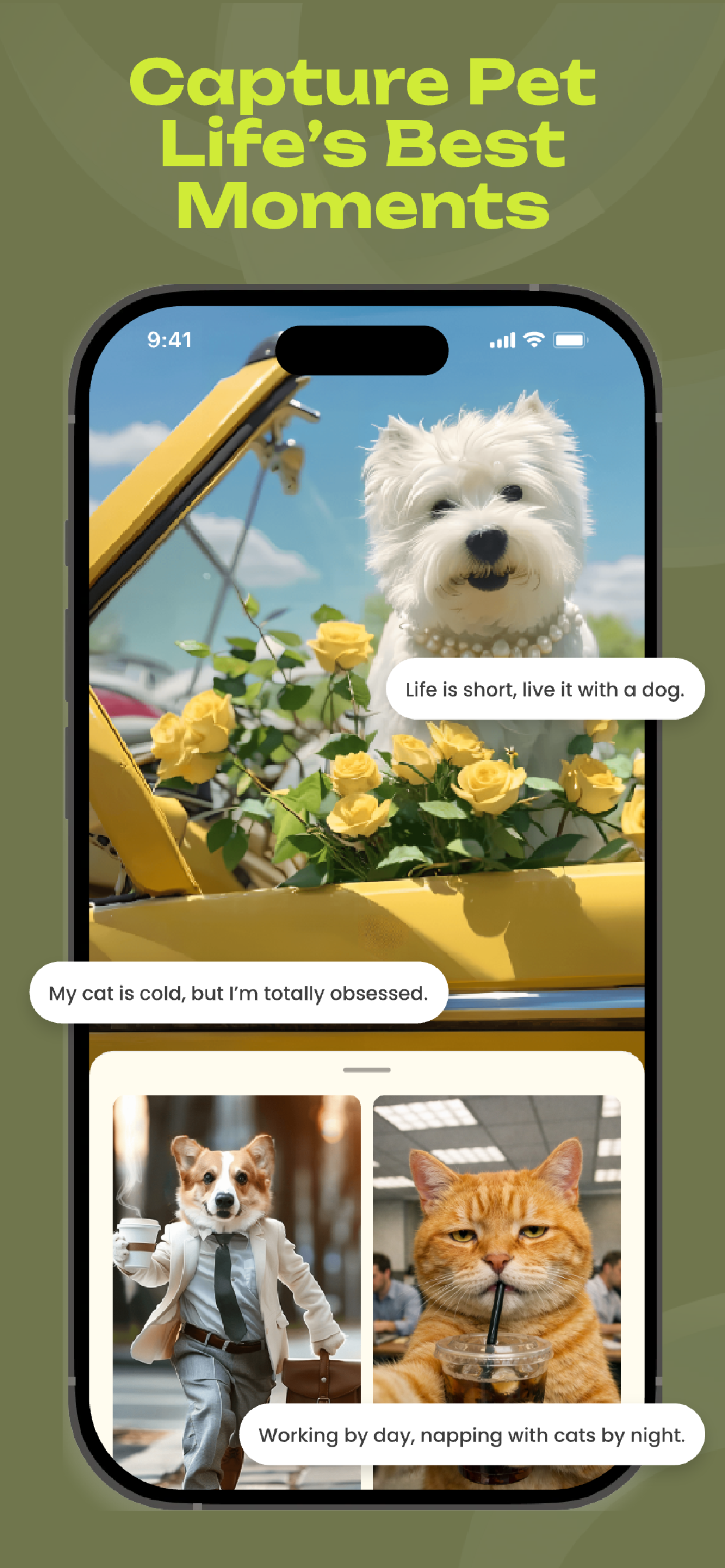 Petpic: AI Pet Video