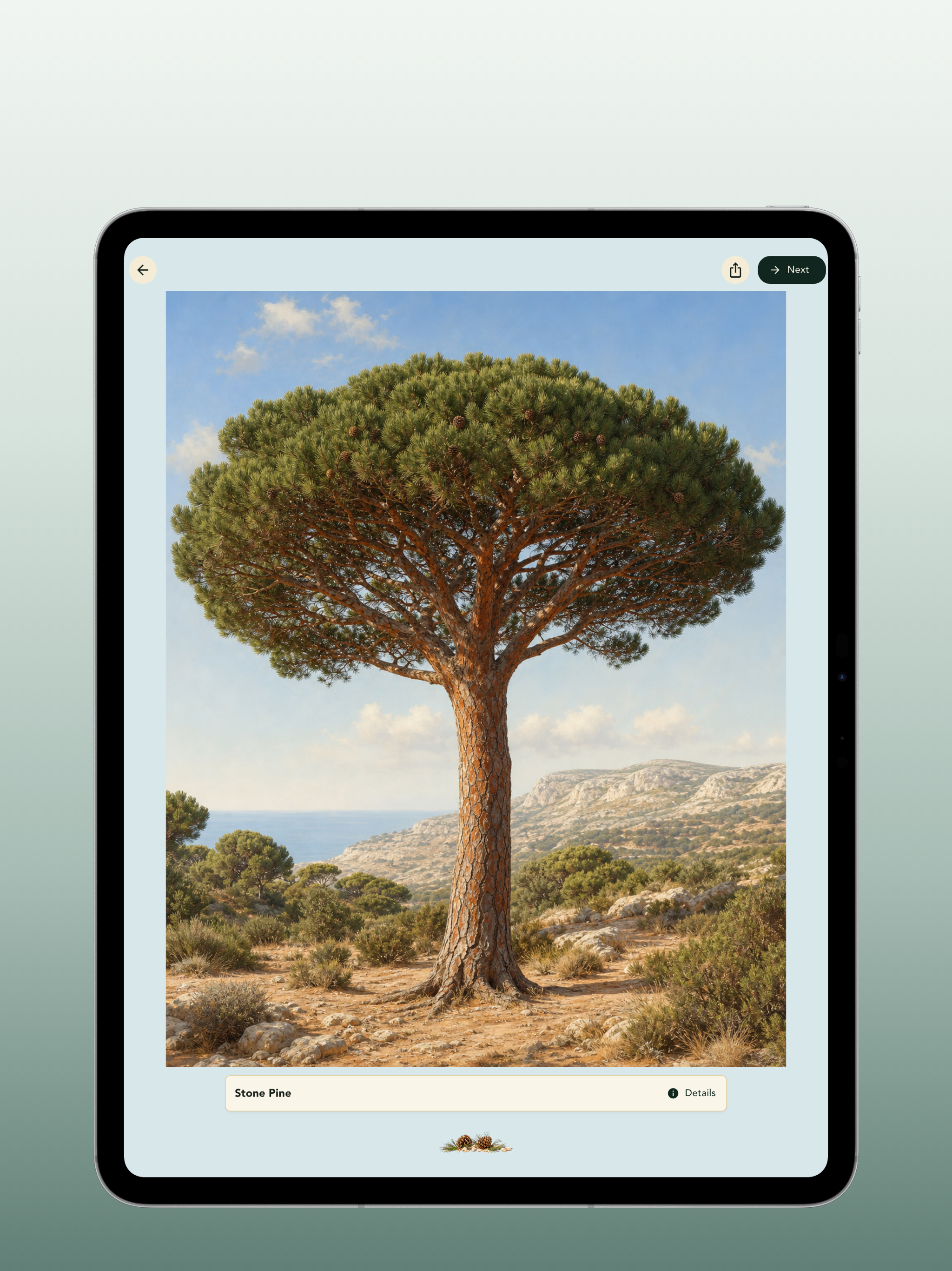 Grove: Botanical Art Puzzles screenshot 14