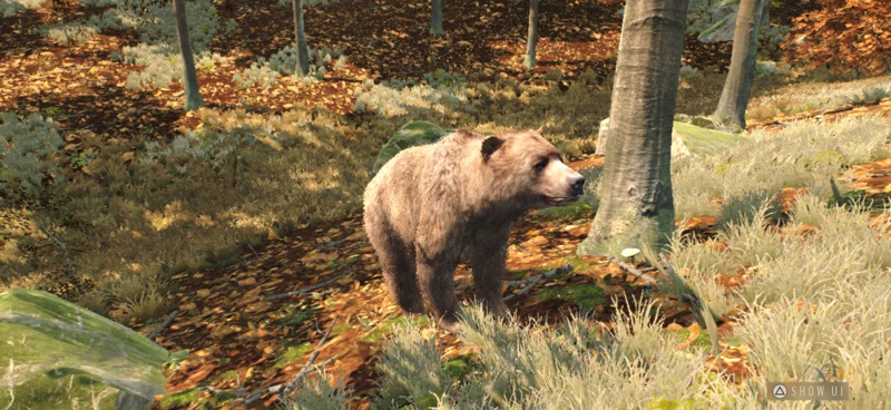 Way of the Hunter Wild Europe screenshot 1