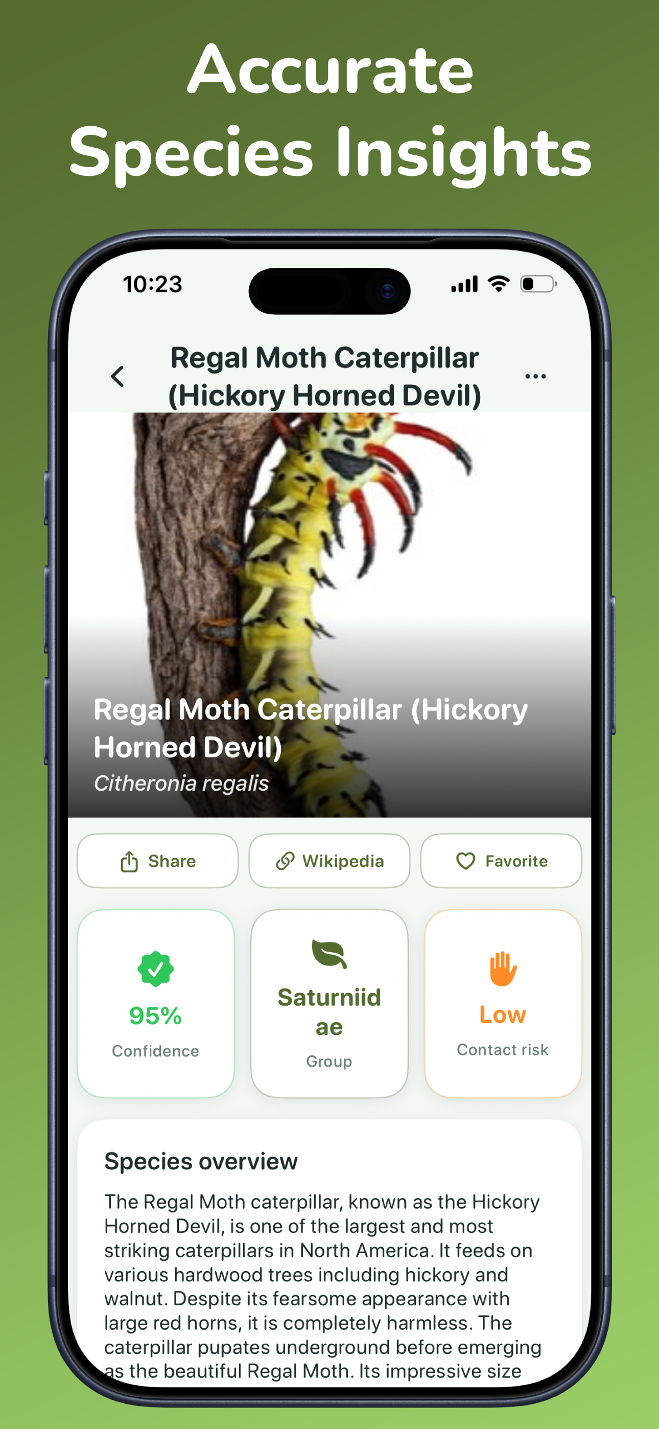 Caterpillar Identifier－Scan AI
