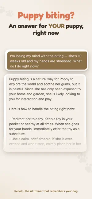 Recall: Puppy & Dog Training screenshot 1