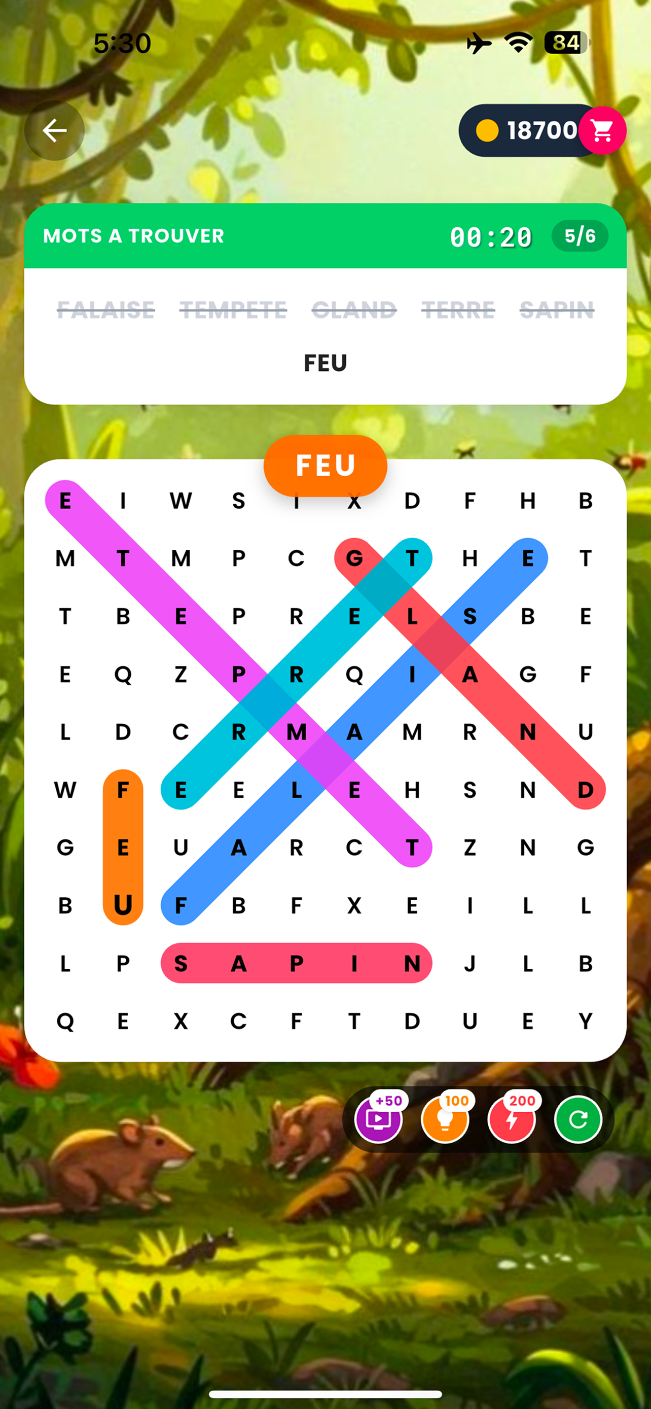 French Crossword Puzzle