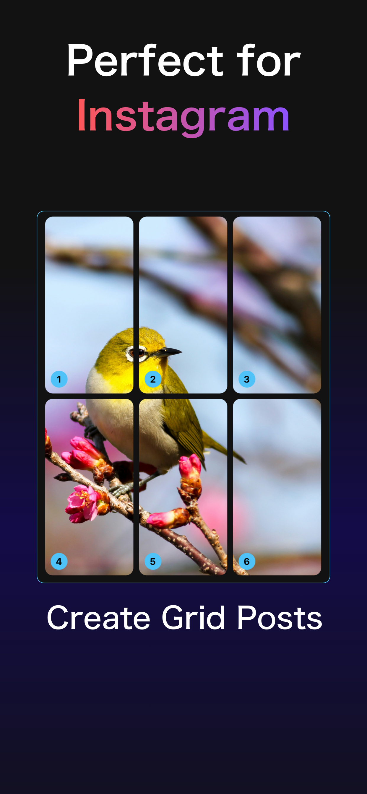 Grid Cuts - Photo Splitter screenshot 4