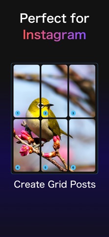 Grid Cuts - Photo Splitter Screenshot 4 of 4