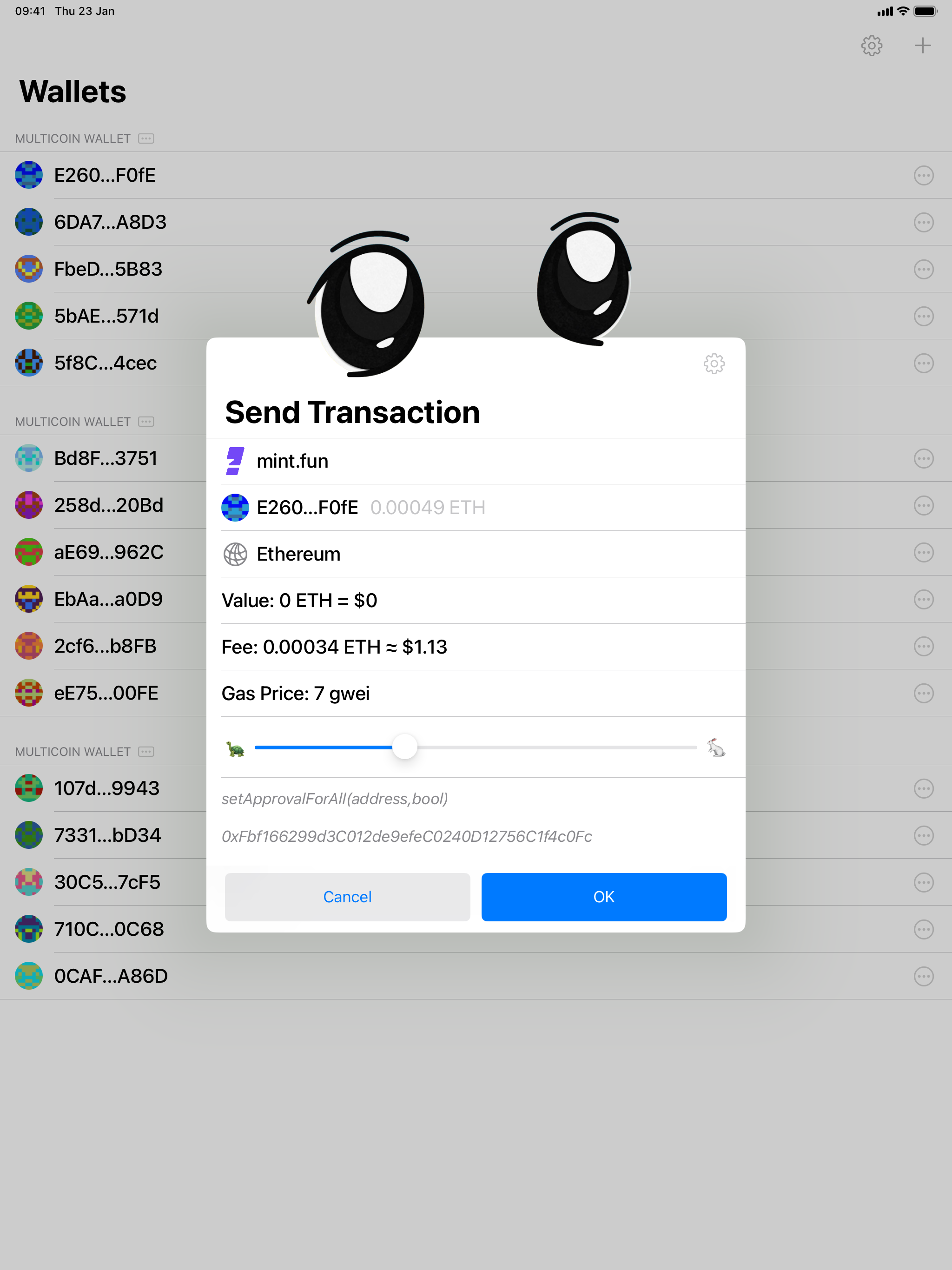 Big Wallet for Safari screenshot 5