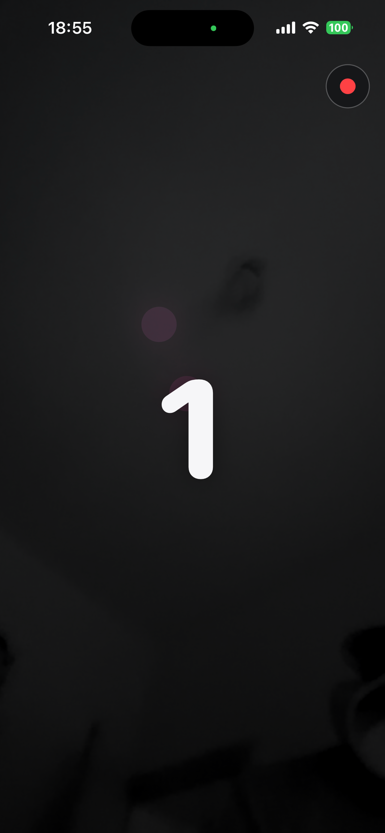 Palmtone screenshot 4