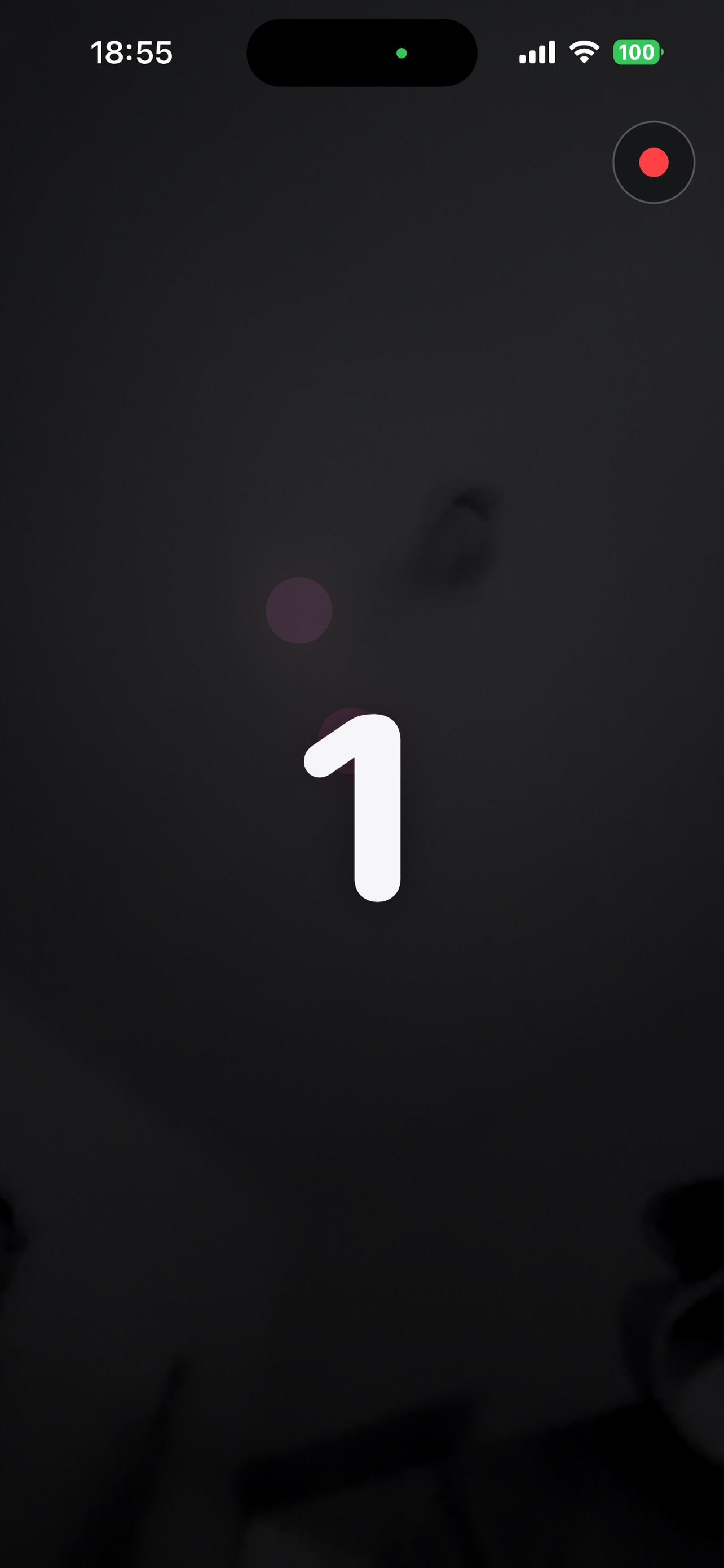 Screenshot 4 of Palmtone