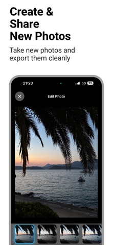 Replay – Social Media Archive screenshot