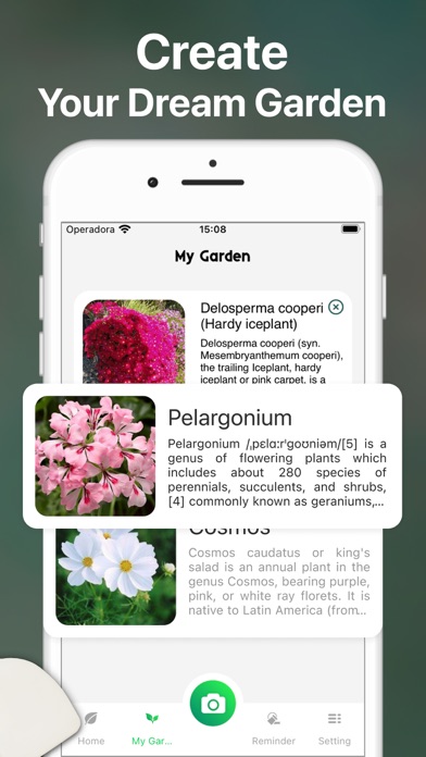 AI Plant Identifier Care Tips Screenshot