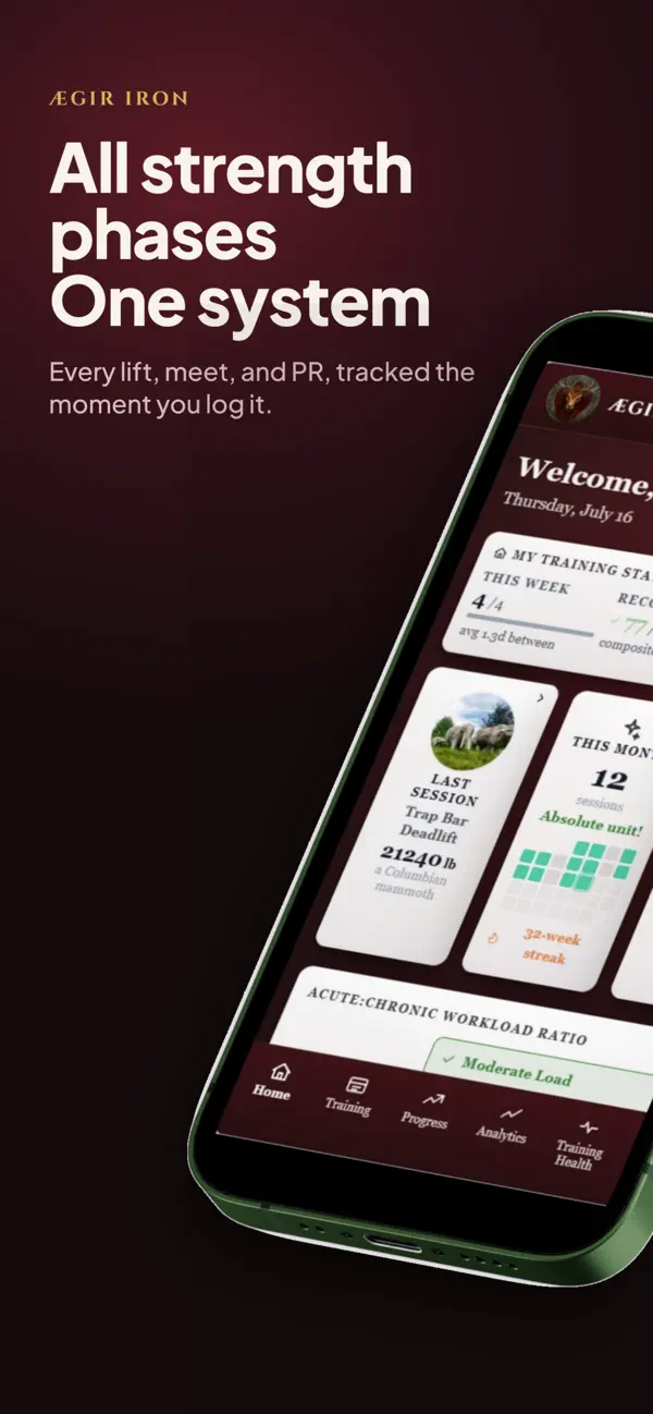 Screenshot #2 pour Ægir Iron