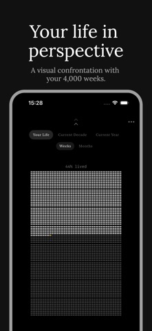 Finite Grid screenshot