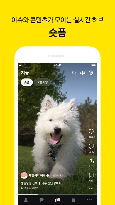 스크린샷