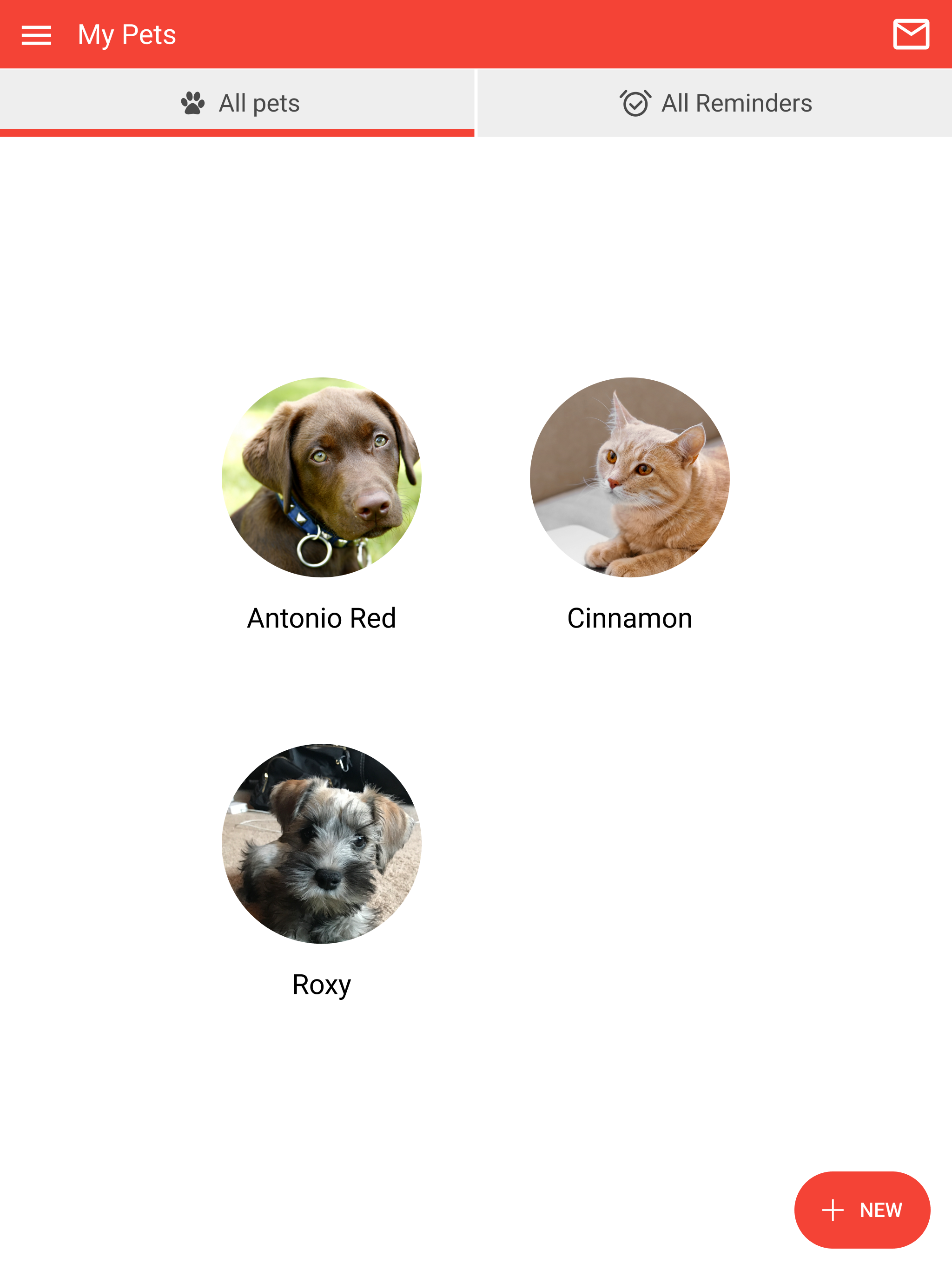 South Point Pet Hospital screenshot 7