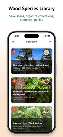 Wood Identifier & Lumber Scan screenshot
