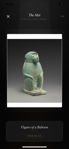 Exhibito: Your Private Gallery Screenshot 3 of 4