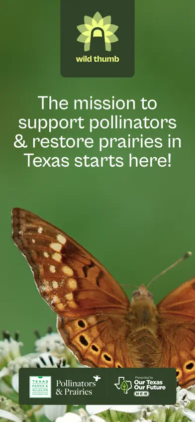 Wild Thumb: TX native plants screenshot 1