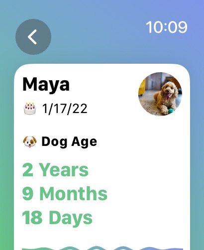 Apple Watch screenshot