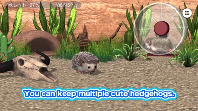 My Hedgehog Screenshot