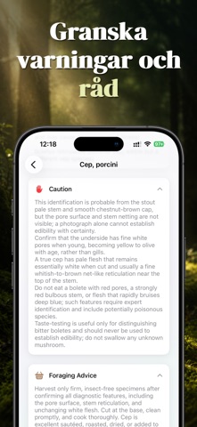 Svamp ID: ShroomAI iPhone screenshot 8