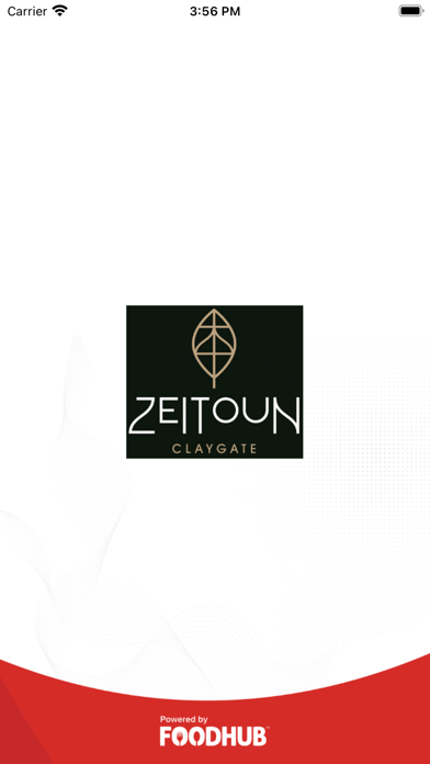 Zeitoun Screenshot