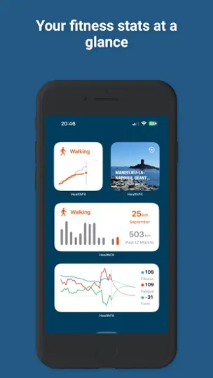 Captura de pantalla de HealthFit en iPhone 8