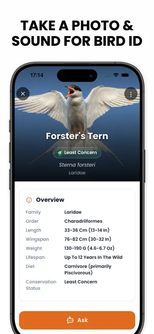 Bird Identifier AI - Birdby screenshot 3