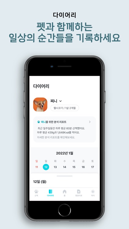 두잇펫 - Do it Pet