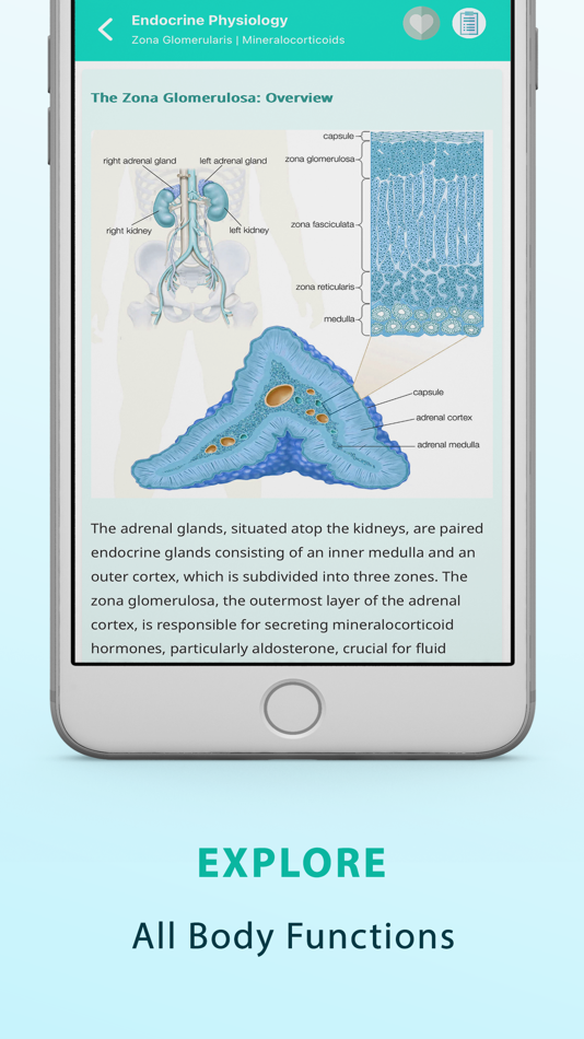 #2. Concise Physiology - Notes (iOS) 由: RER MedApps