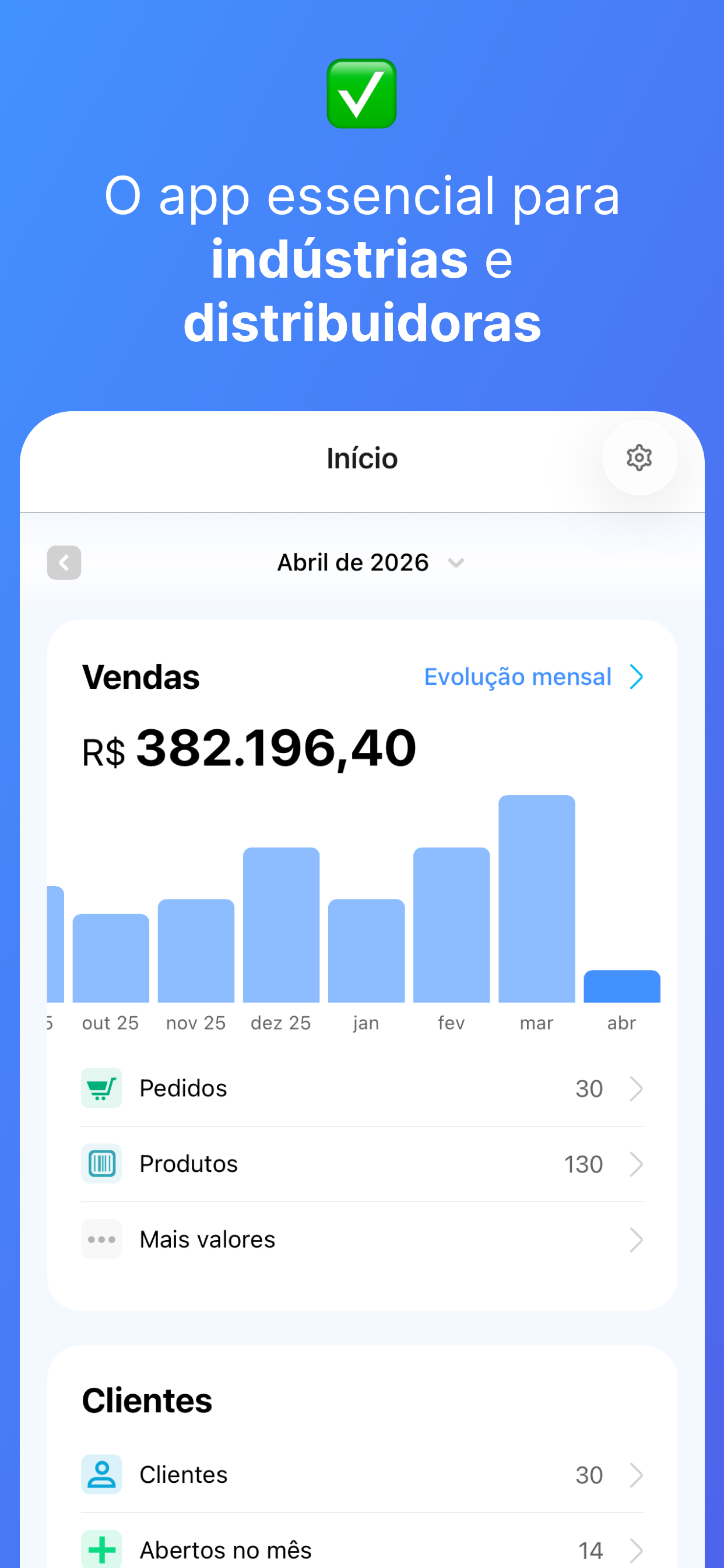 Salescope BI screenshot 2